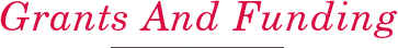 Grants and Funding header